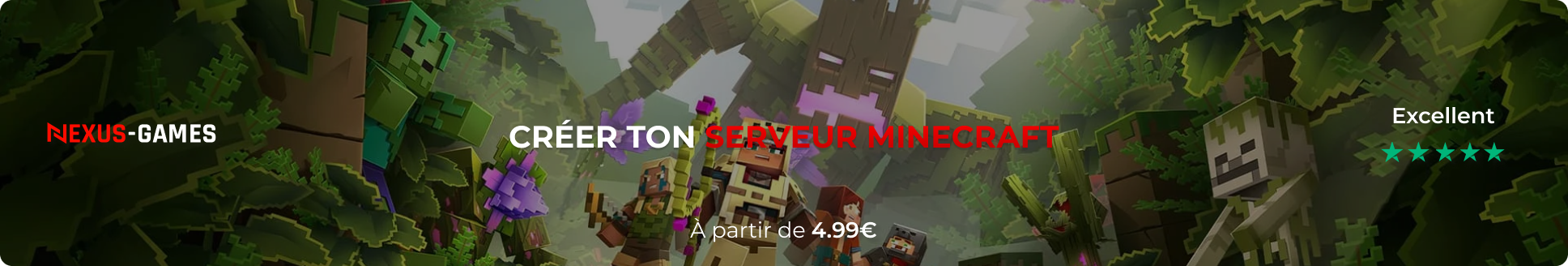 Hebergeur Minecraft.png