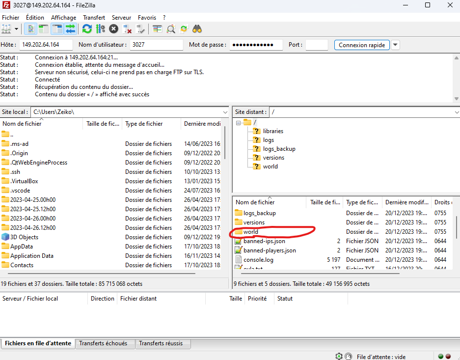 Put a world Minecraft server.png